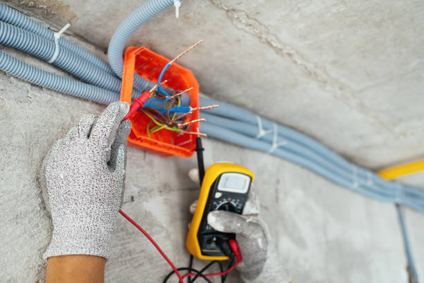 Best Local Electrician Companies  in Vado, NM